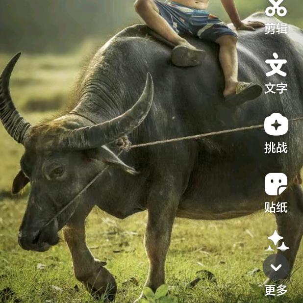 箭航家装美学