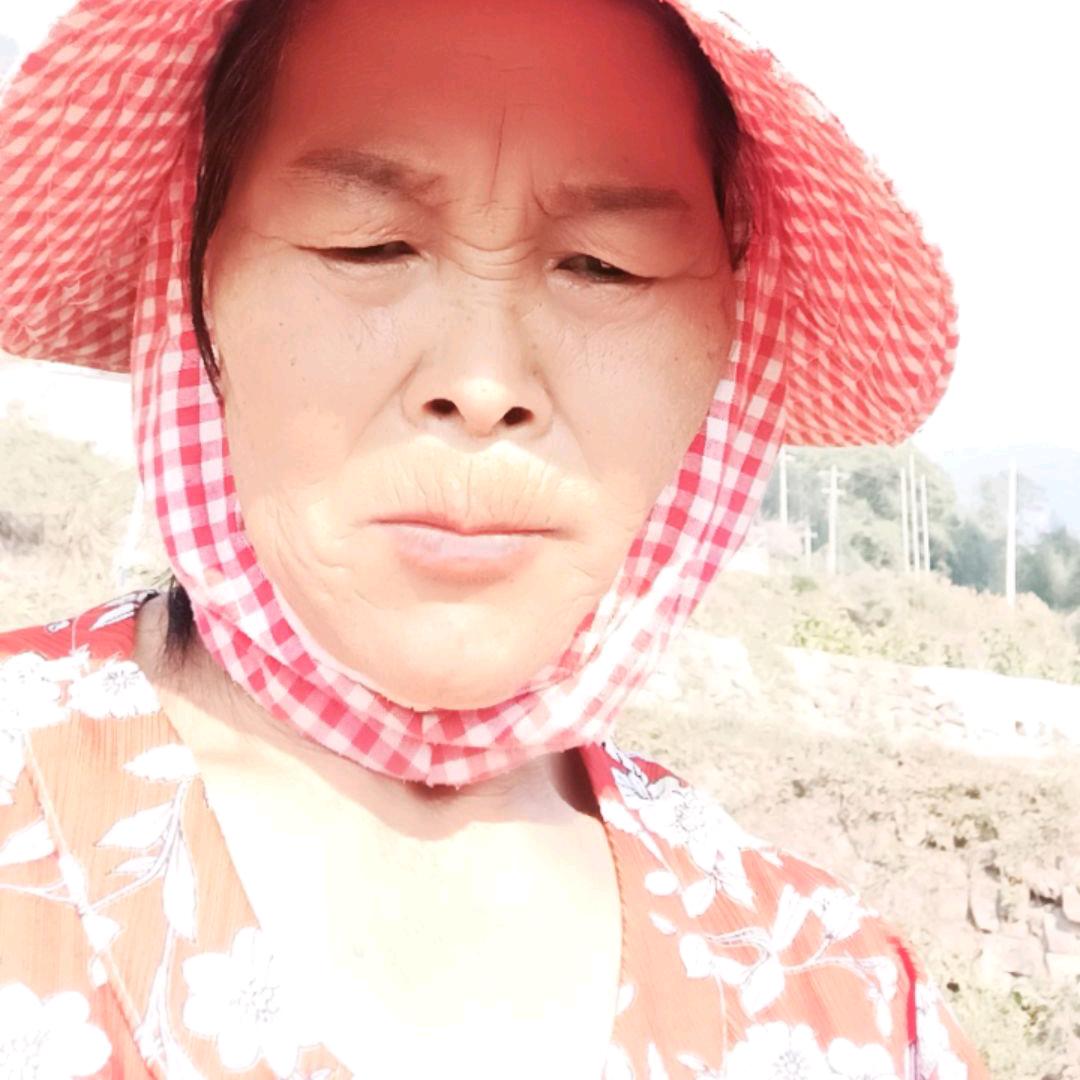 美美姐