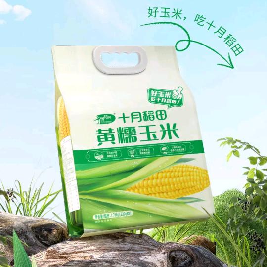 十月稻田糯玉米