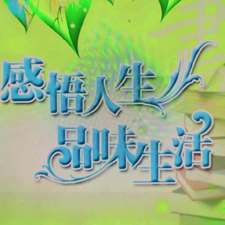 春莹记录时代