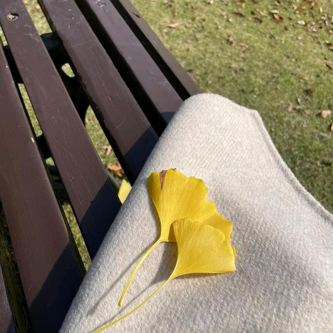 不爱吃糖的十一