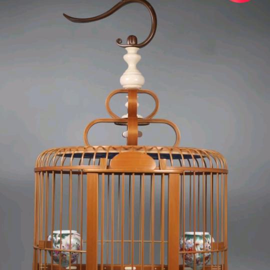 纸因有你，一生箱许