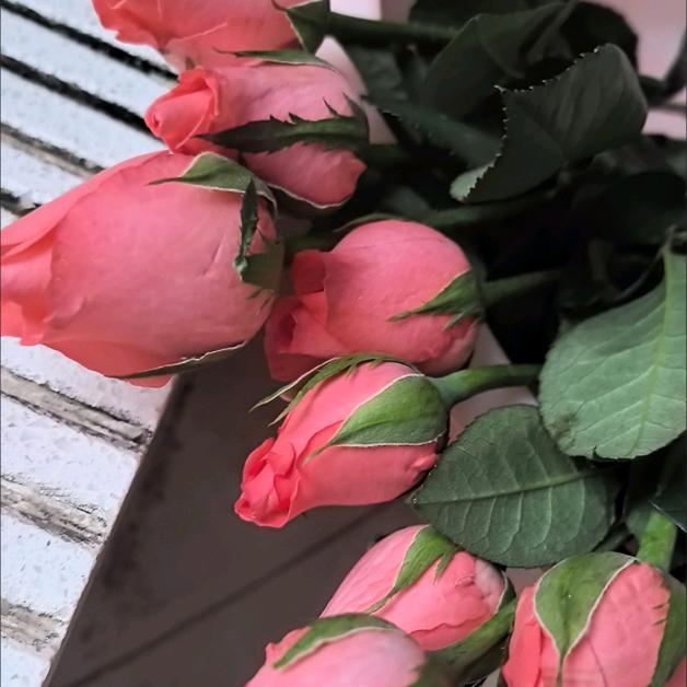 💖ℳღ薪响დ事成ᥫᩣ💖