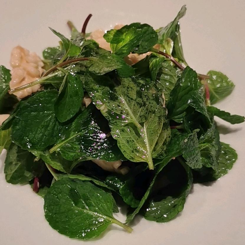 不吃鸭肉