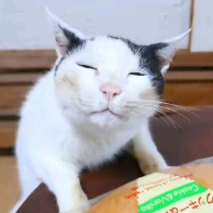 炒面拌凉菜