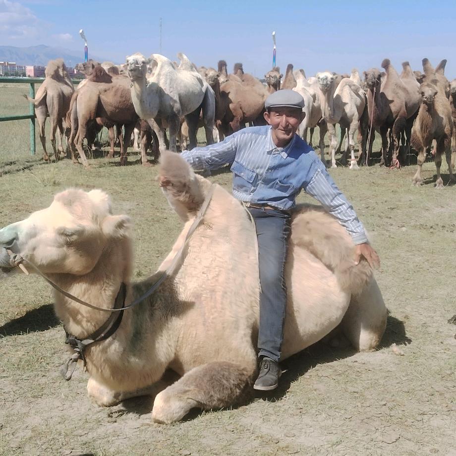 阿尔恒拜克(东天山来的骆驼队）