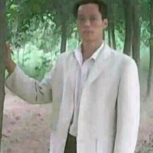 心存感恩🍀🌴承接大小绿化工程🌱