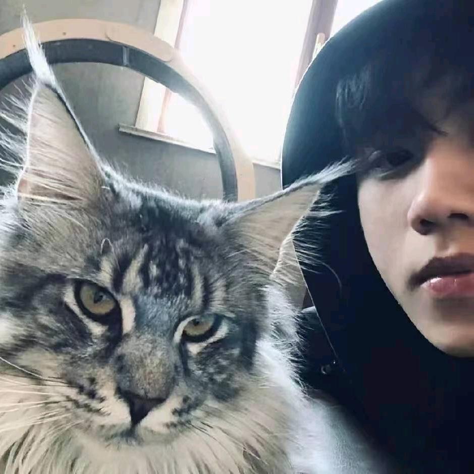 梓熙顶尖养猪