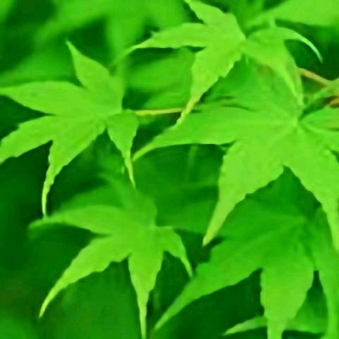 得失随缘