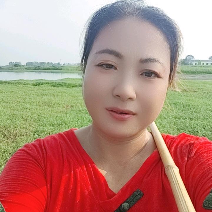 谢缘现在躺平了