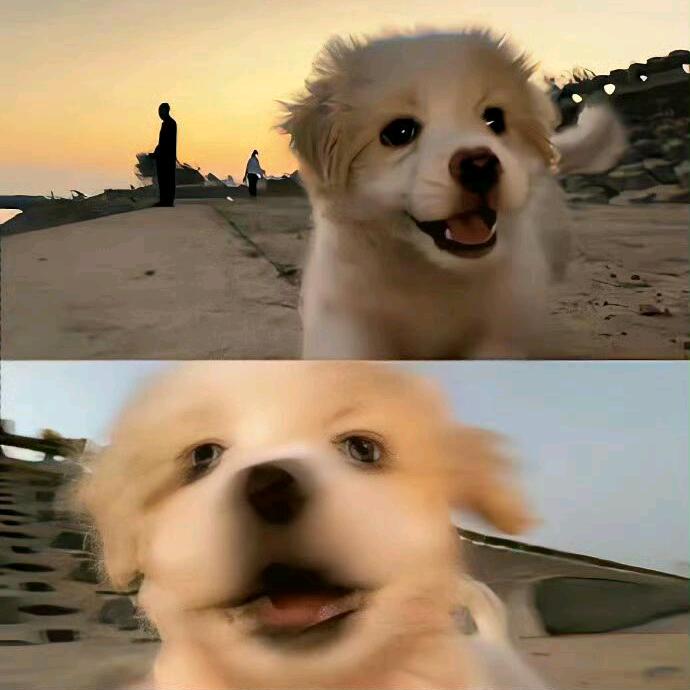 -[     ]