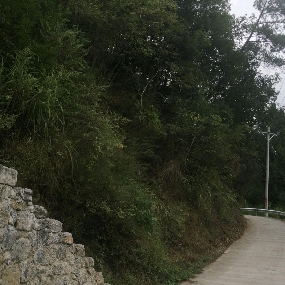 用户名