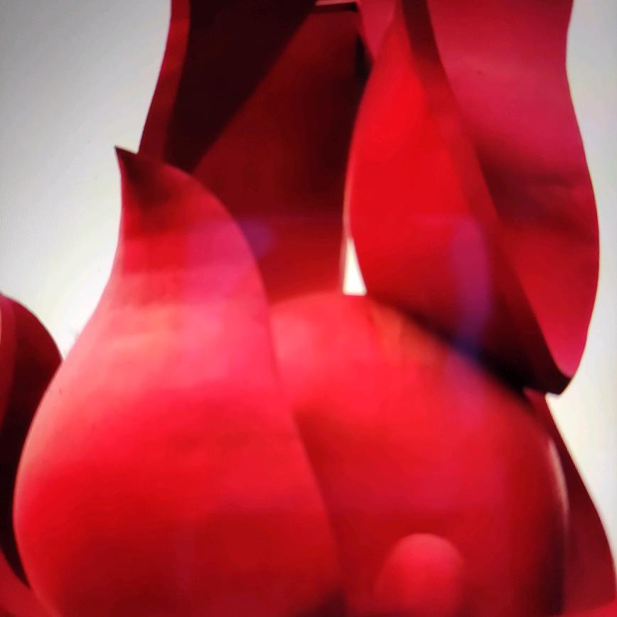 轻轻的风🌹🌹