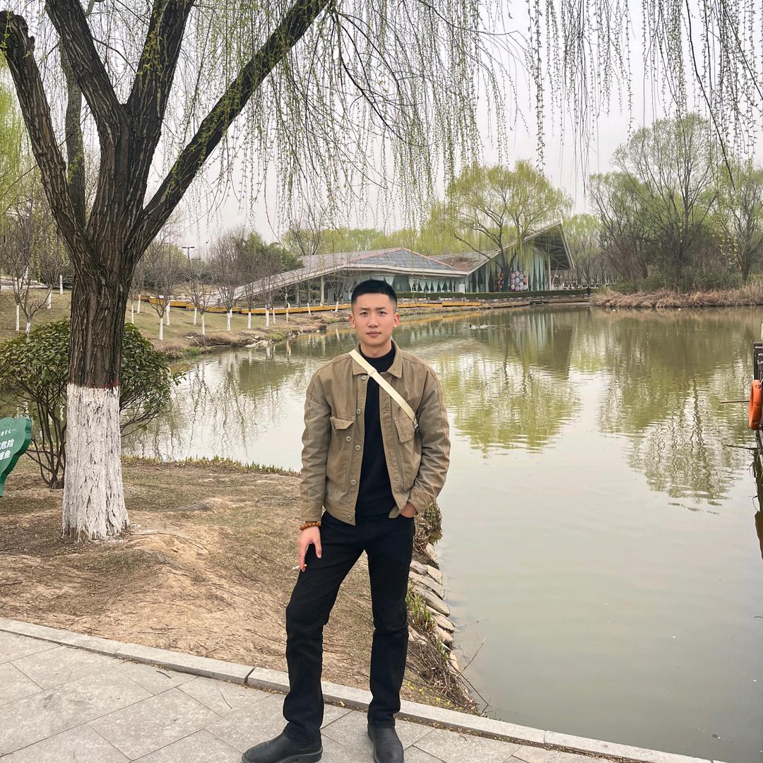 杨树上