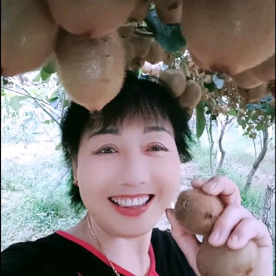 唐姐猕猴桃
