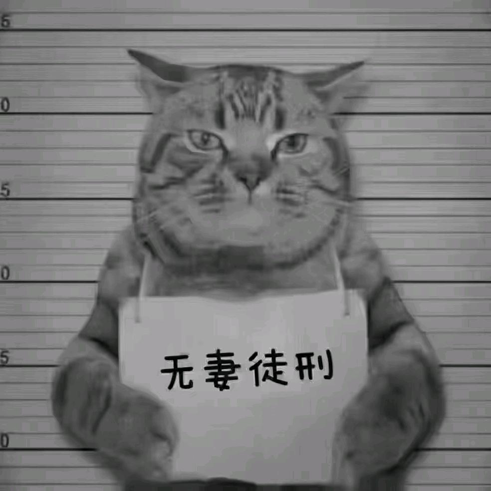 疯狂的老王