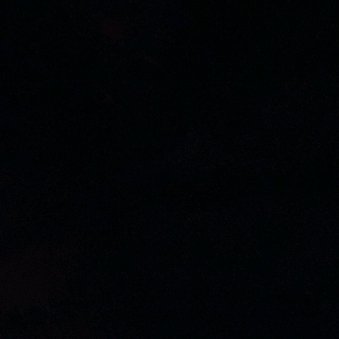 久久草