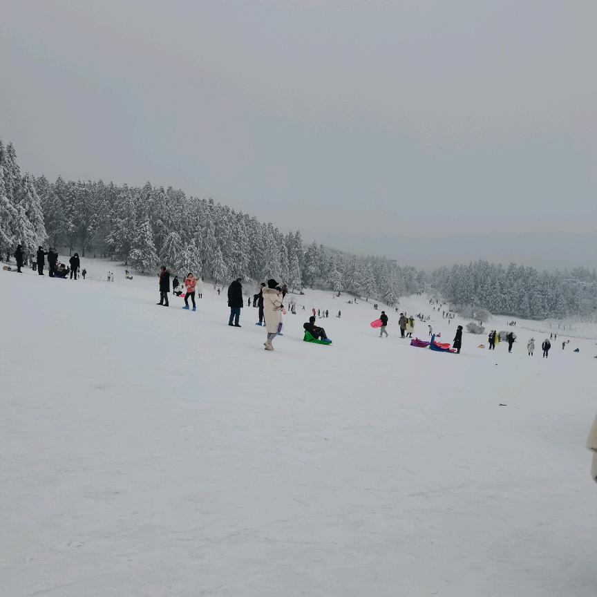 开开心心每一天。。。。