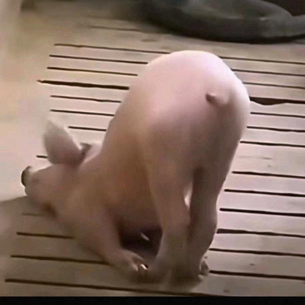 㤅💕
