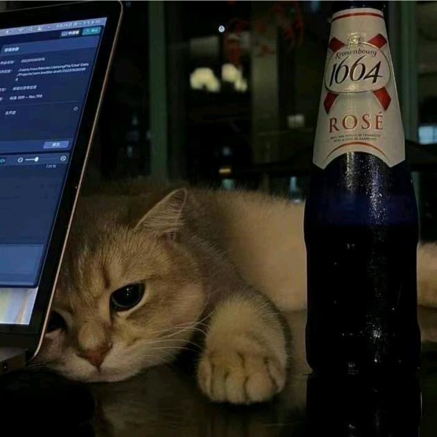 玖   🚶🏻‍♂️