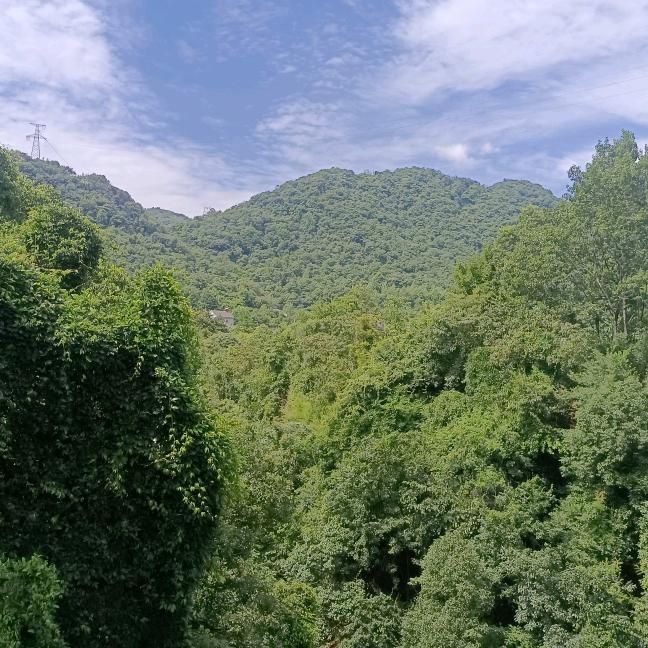 小水滴