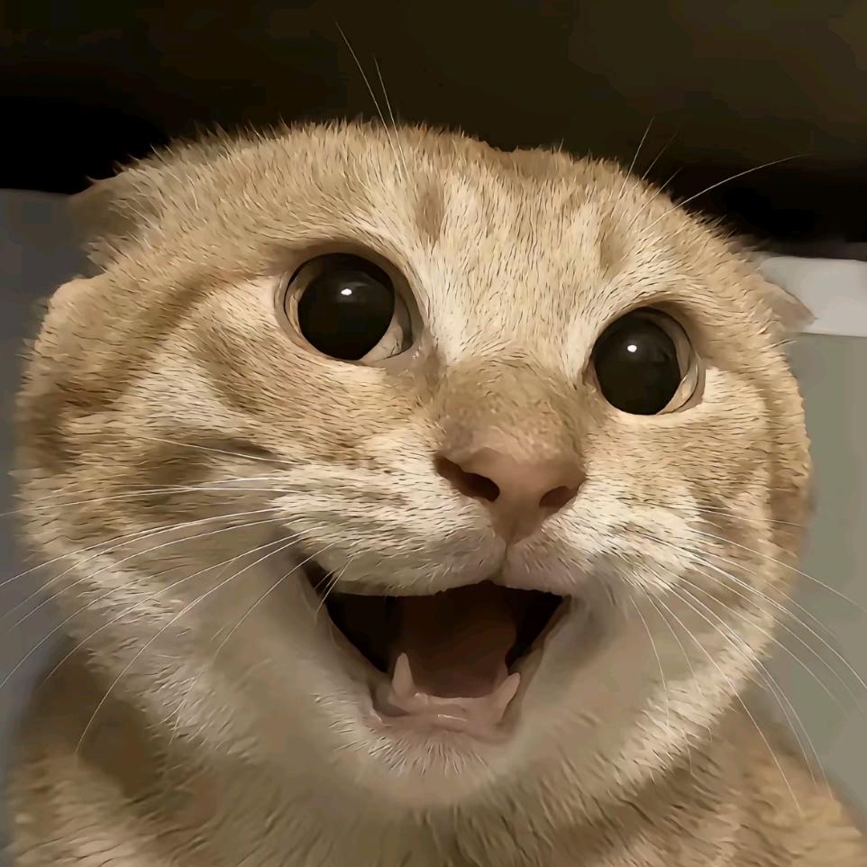 owo