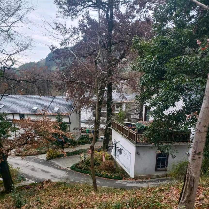 传宝