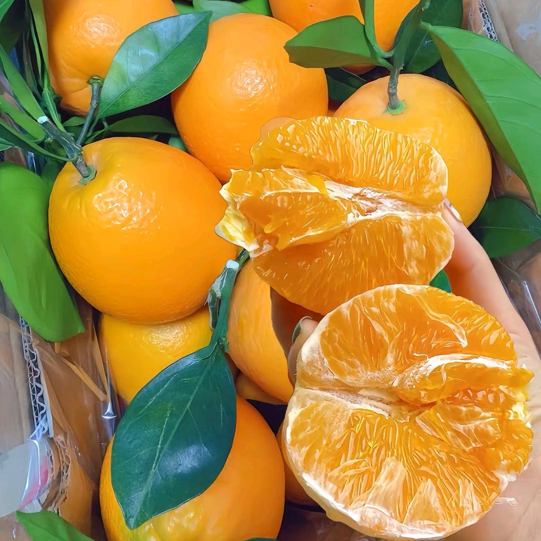 许昌胖來東超市【大胖店】