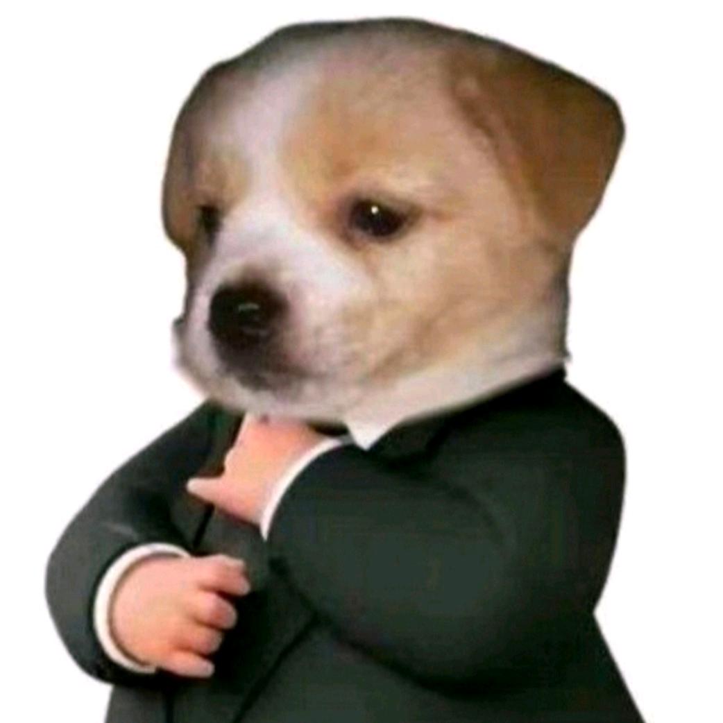 天选小狗侠🐾