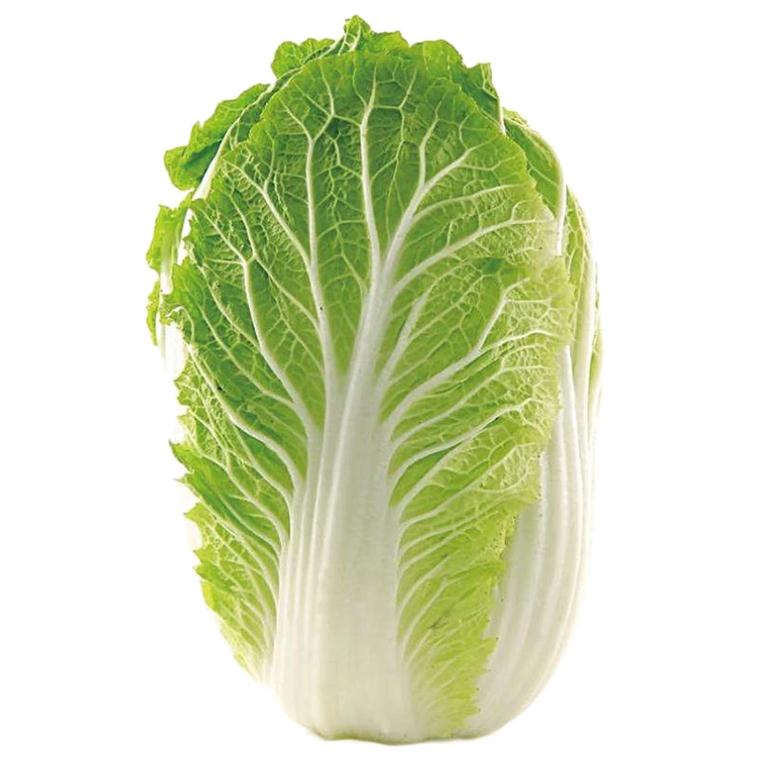 炖白菜（无畏契约）