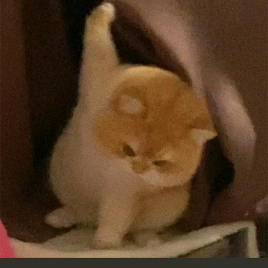 贾伟起