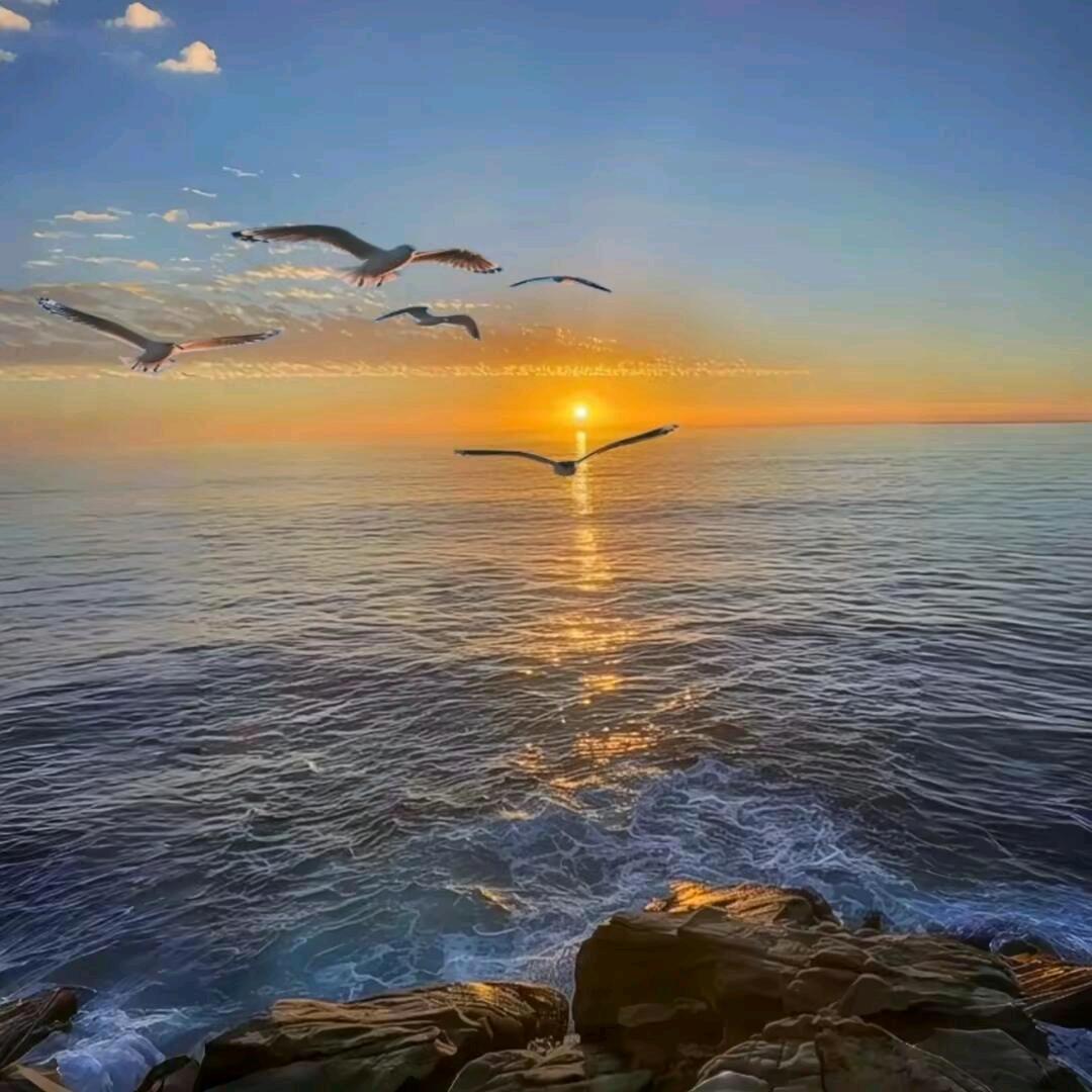 珎∽暿
