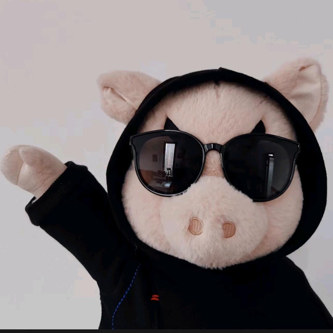 🌈小猪猪🐷