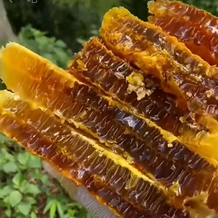 甘肃康县百花蜜