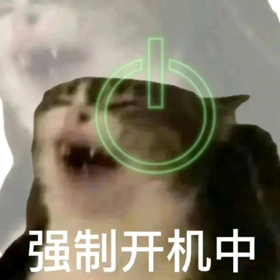恰猫薄荷
