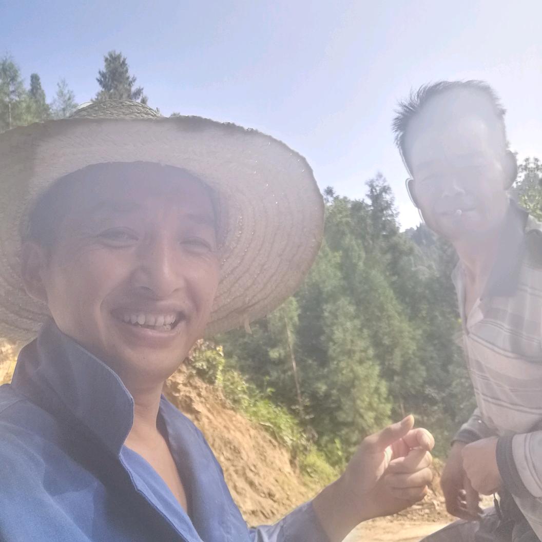 火烈鸟