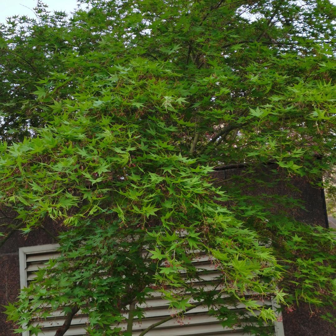 以纯滨河万达店芳芳以纯(滨河万达广场店)