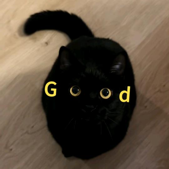 贾方