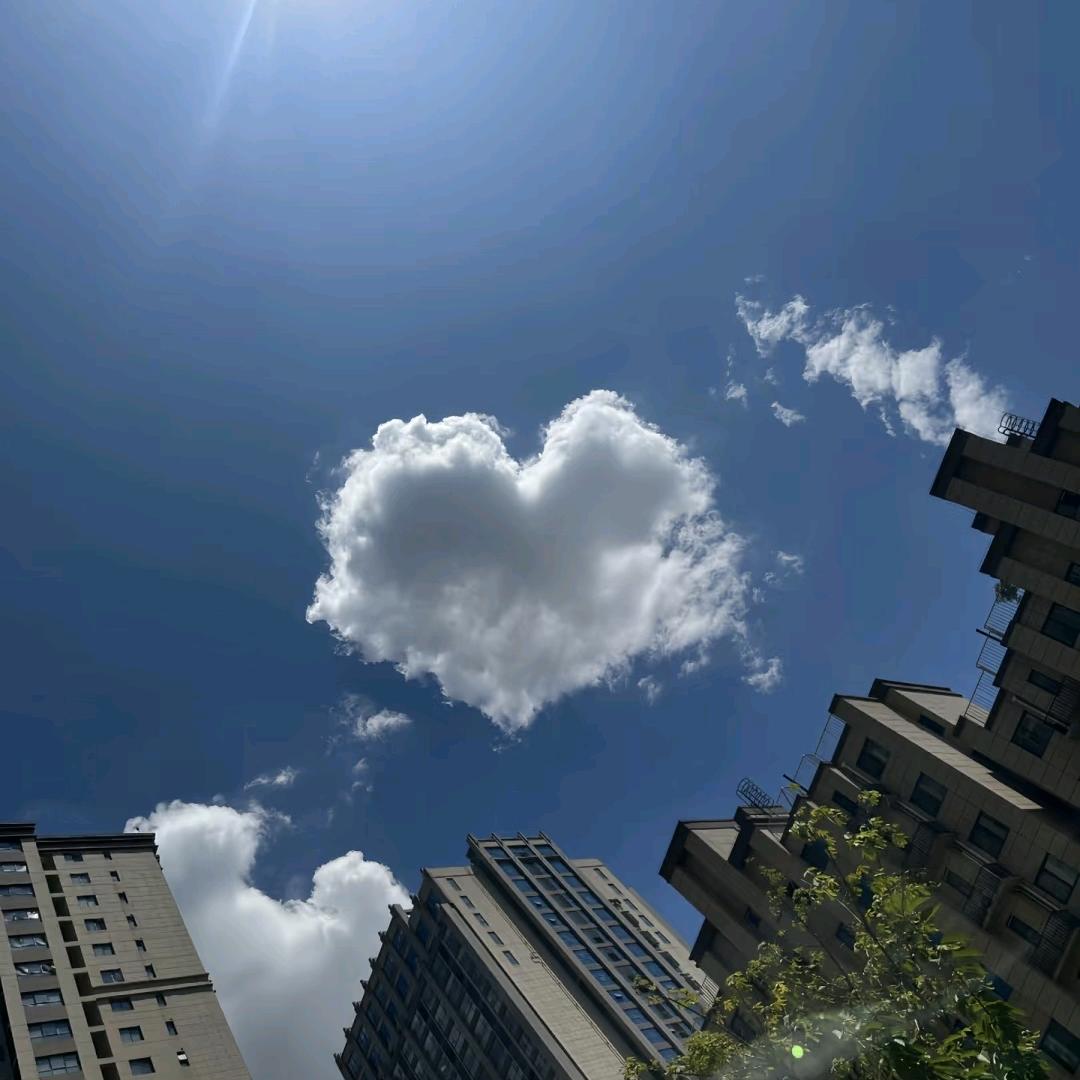 浅梦