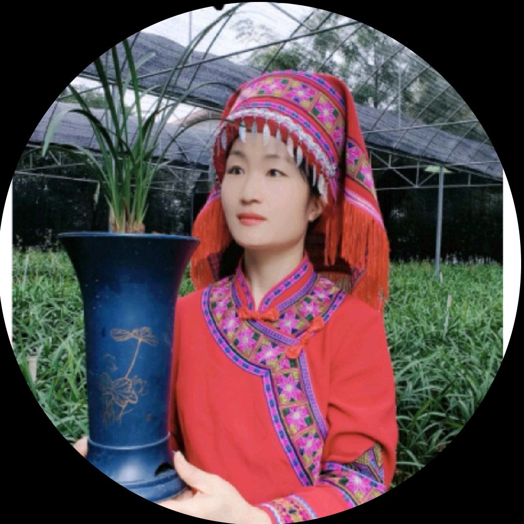 瑶妹兰花(湖南江永)