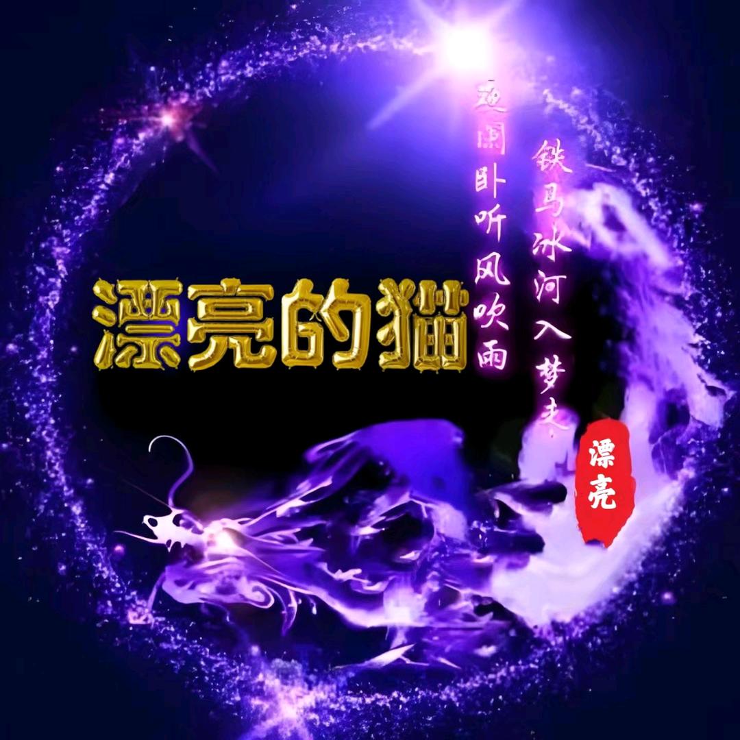 漂亮的猫