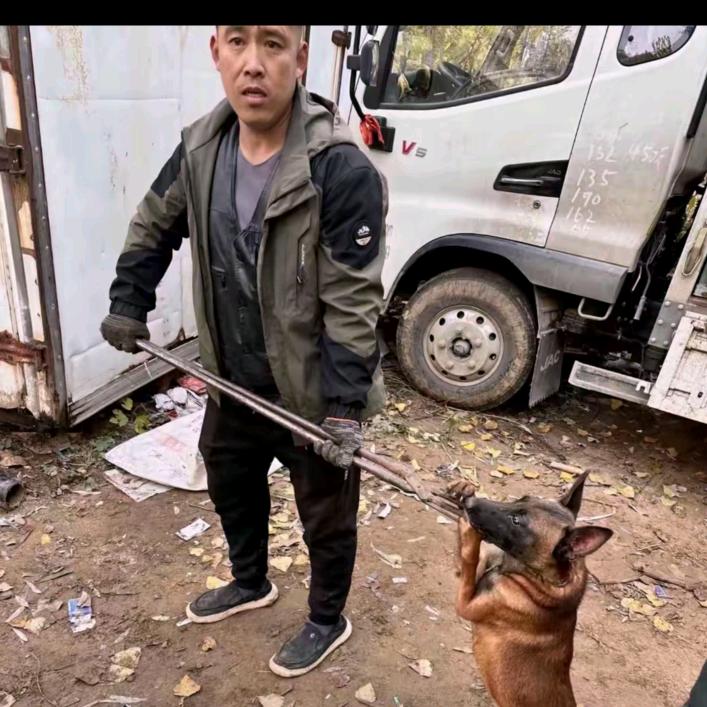 Aaa恩哥专业套狗