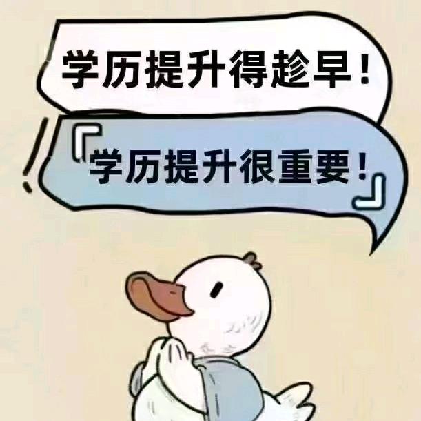 环亚教育文文老师