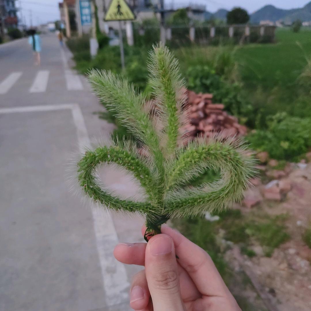 叮叮车