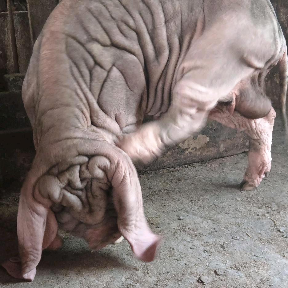 三十年河西，三十年河东，穷在路边无人问，