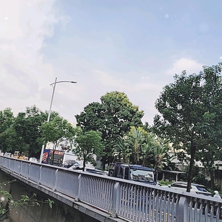 没人要