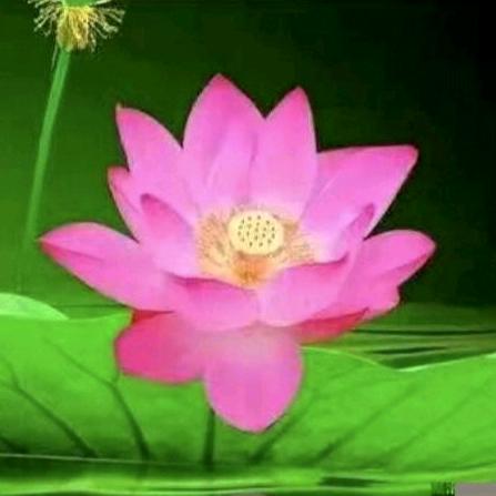 平安是福 🙏