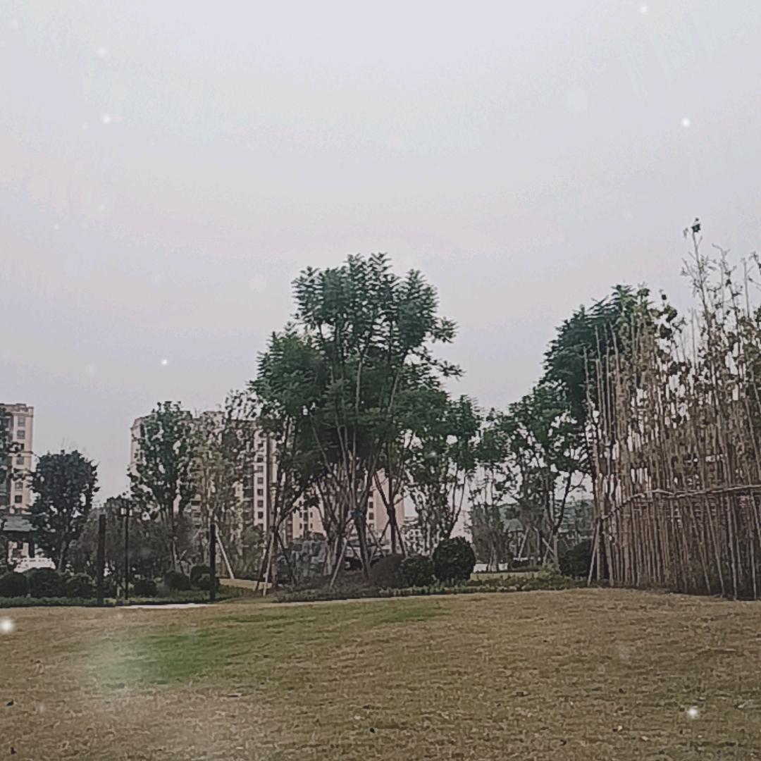 开开心心过好每一天