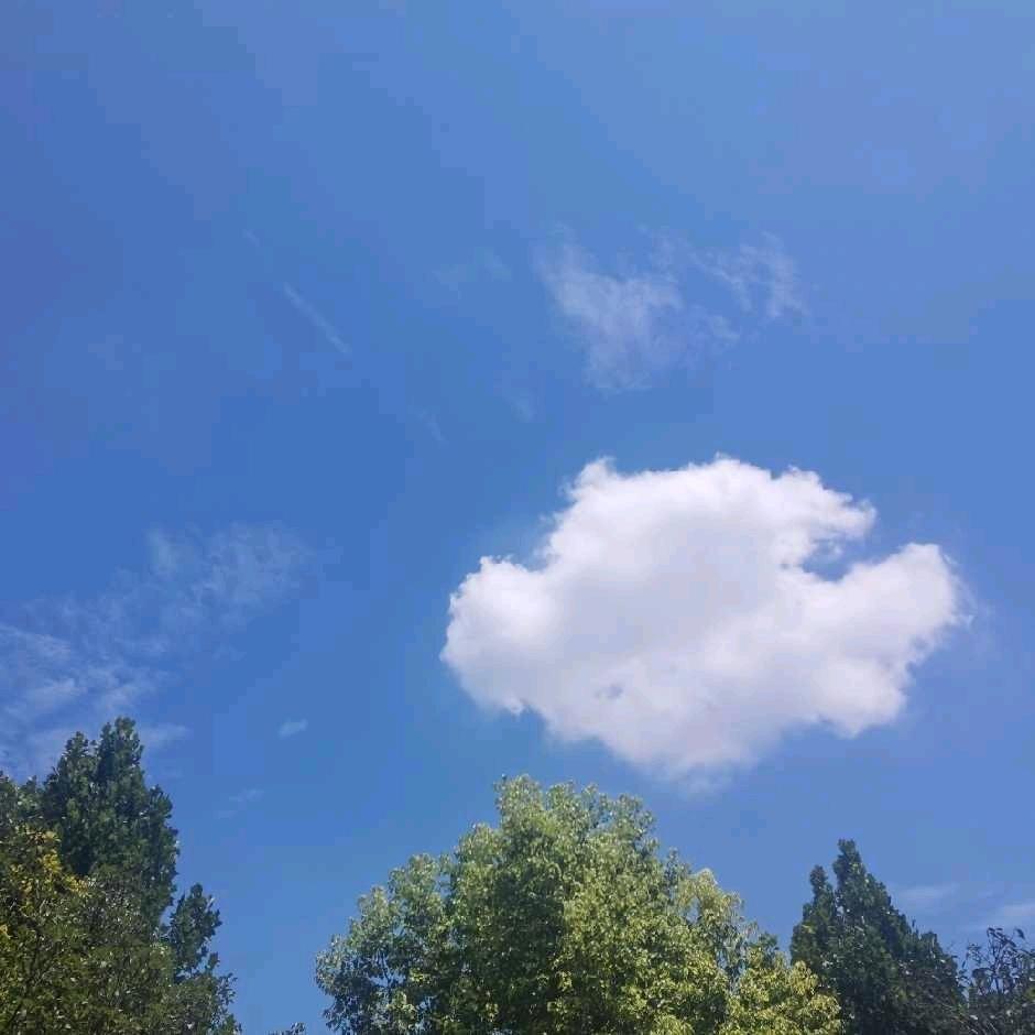 旺旺小福星