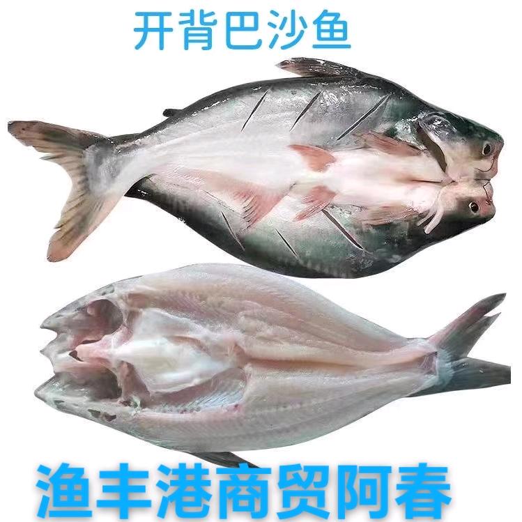 河南渔丰港商贸-阿春